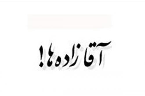  فیلم/ وقتی آقازادگی اشتباه ترجمه شود!