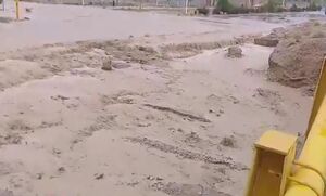 فیلم/ خانه‌هایی که ۳ متر زیر آب رفتند