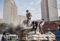 عکس/ زندگی زیرزمینی ...