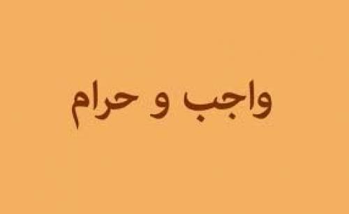یک تمثیل خوب در مورد واجب و حرام الهی