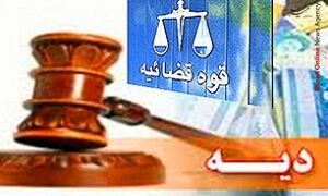 دیه خردسال بابزرگسال درقانون چه فرقی دارد؟ 