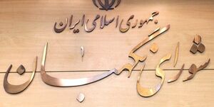  استمهال لایحه تابعیت فرزندان زنان ایرانی در شورای نگهبان