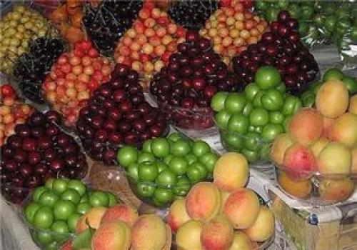 پیاز کیلویی ۲هزار تومان شد