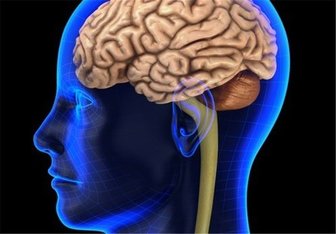 گردگیری قلب و مغز با این خوراکی‌های ضدسرطان 