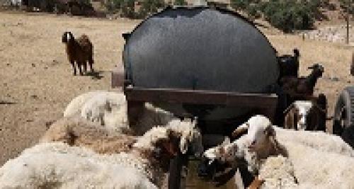 عکس/زندگی سنتی بدون تکنولوژی در حاشیه زاگرس