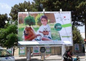 تبلیغ سگ‌بازی در سبزوار +عکس