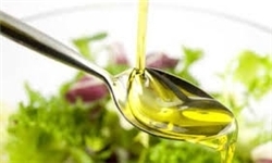 فوایدومضرات نوشیدن روغن زیتون 