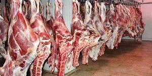  واردات گوشت در بهار دو برابر شد