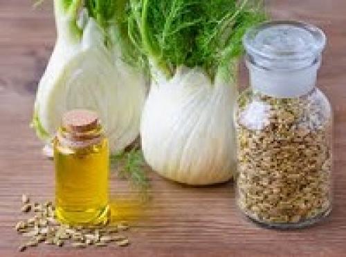 آشنایی با خواص و مضرات رازیانه
