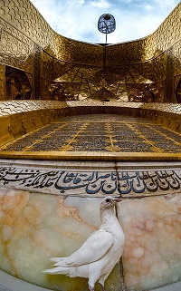  تصویری زیبا از حرم مطهر رضوی