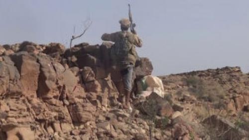  دو هزار کشته و زخمی آخرین دستاور ائتلاف در استان ضالع + نقشه میدانی و عکس