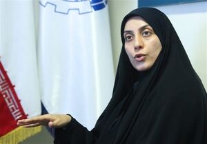  دولت الکترونیک چند درصد محقق شده است؟