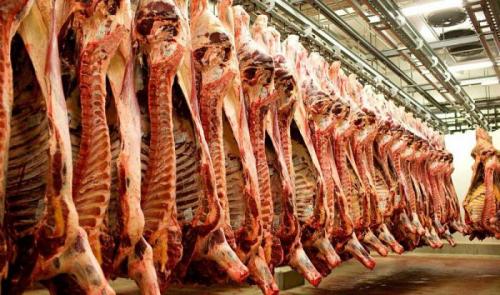 مشکلی در خصوص تولید گوشت قرمز نداریم 