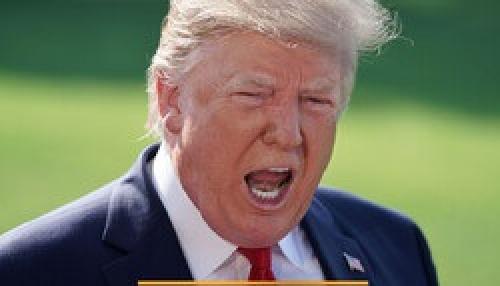 فیلمی از گیر افتادن حشره در موهای ترامپ!