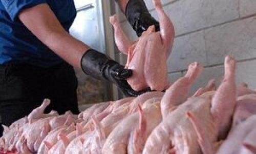  چه کسی مقصر گرانی مرغ است؟