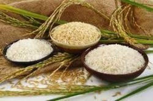 چرا بایدمصرف برنج قهوه‌ای راجایگزین برنج سفیدکرد؟! 