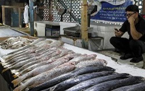 عکس/بازار راکد ماهی فروشان بندرعباس