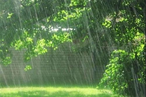 بارندگی در شمال/ هوا از فردا خنک می‌شود