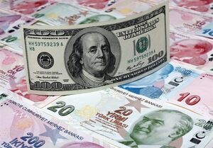 فیلم/ارز حاشیه ساز دولتی
