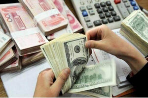 فیلم/ارزدولتی به کام چه گروهی شیرین بود؟