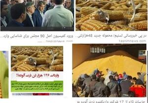  ترخیص ۳۴۰ هزار تن ذرت برزیلی بدون