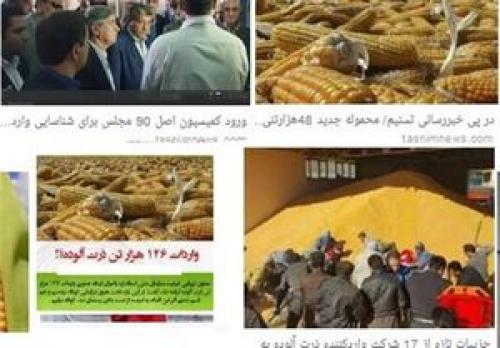  ترخیص ۳۴۰ هزار تن ذرت برزیلی بدون