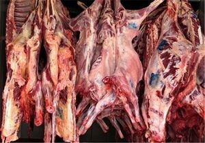  هر کیلو گوشت گوسفندی چند؟