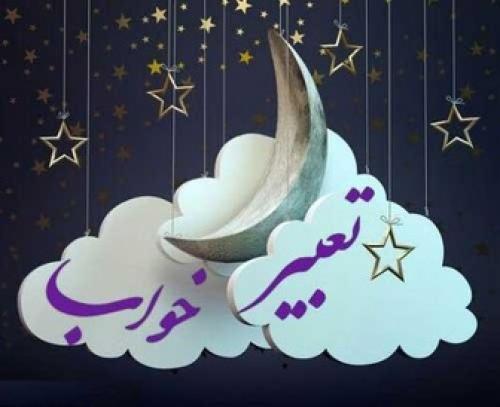  تعبیر دیدن موش در خواب 