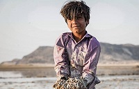  عکس/ مرگ ماهیان هامون