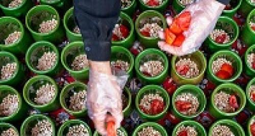 عکس/هیئتی که دیزی نذری می‌دهد