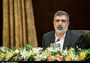  فیلم/ توصیه کمالوندی به اتحادیه اروپا