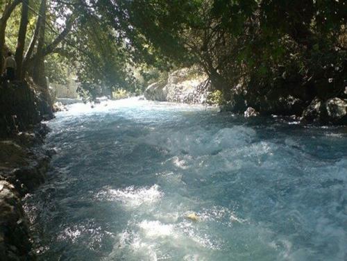 نجات دختر 10 ساله از دل رود کرج