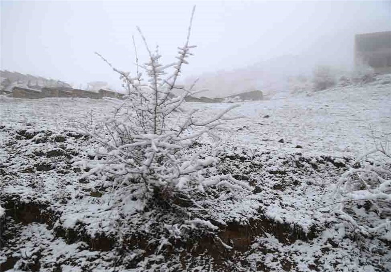 آسمان زنجان برفی می‌شود