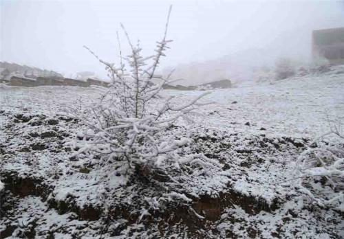 آسمان زنجان برفی می‌شود