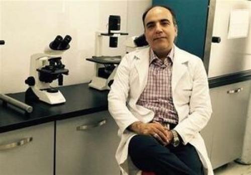 دکتر سلیمانی در آستانه آزادی؟
