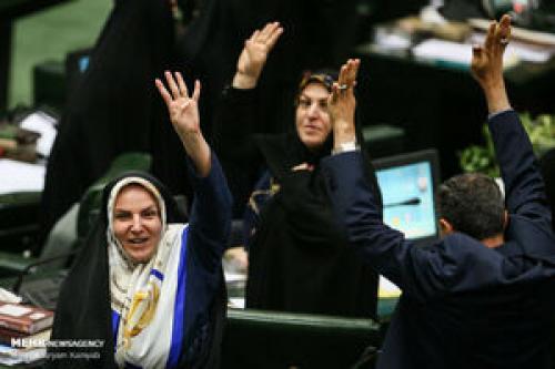 تلخ و شیرین عملکرد فراکسیون زنان مجلس 