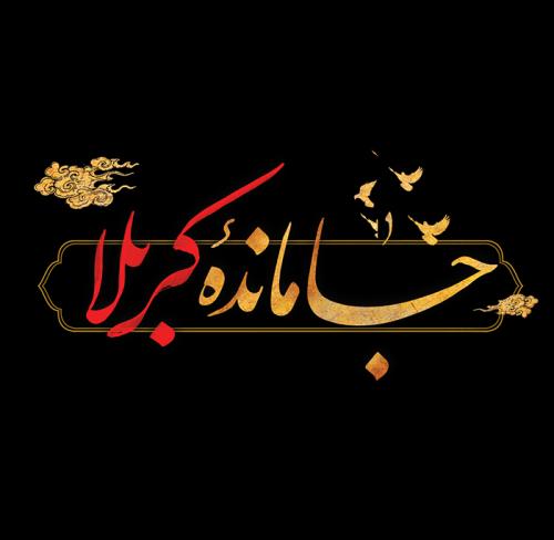 فعالیت دوباره هیات  جاماندگان اربعین درمنطقه جنوب تهران 