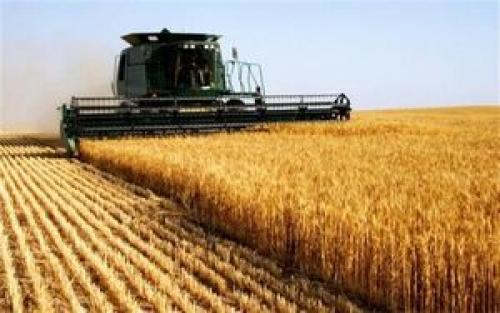  اعتراض گندمکاران به نرخ خرید تضمینی