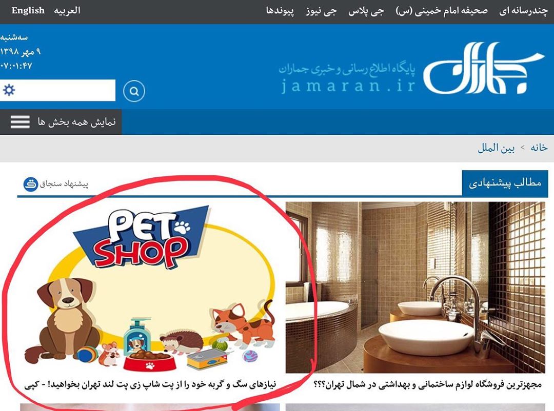 از تبلیغ «خوراک سگ و گربه ملت» تا «خوشگلی ناموس ملت» در سایت جماران! + تصاویر 