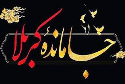 فعالیت دوباره هیات جاماندگان اربعین درجنوبی ترین منطقه تهران+فیلم