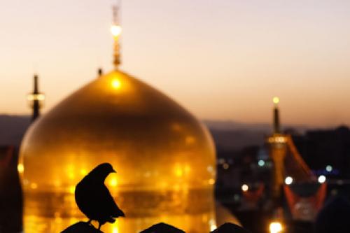  امسال چند هزار نفر پیاده به مشهد رفتند؟ 