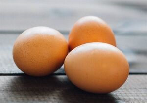  ۲ دلیل افزایش قیمت تخم‌مرغ