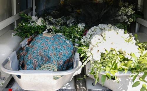  عکس/ چهره‌ها در مراسم تشییع پیکر مجید اوجی