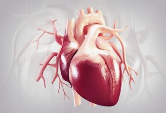  دیر غذا خوردن برای قلبِ زنان خطرناک است 
