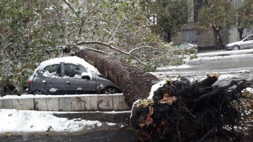 برف بلای جان خودروی بد شانس شد