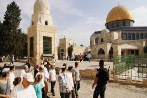  هتک حرمت شهرک نشینان صهیونیست به مسجدالاقصی 