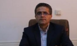 تولید سالانه 75 هزار تن گوشت در کردستان