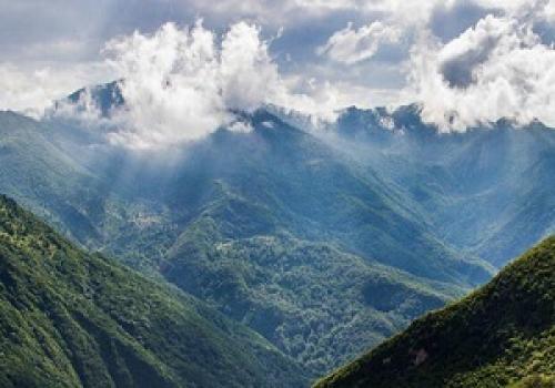چه خبر از گردشگران گمشده در جنگل ابر؟