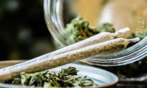قاتل خاموش جان خانواده 4 نفره را گرفت