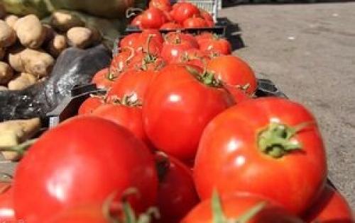 قیمت "گوجه" در عمده فروشی‌ها + جدول